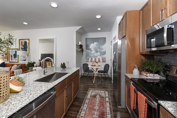 Modern kitchen with stainless steel appliances at Austin Avenue Apartments luxury living spaces