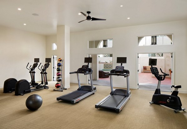 State-of-the-art fitness center with modern equipment at Andalucia Apartments
