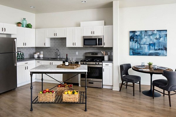 Modern kitchen with stainless steel appliances at Andalucia Apartments, perfect for culinary enthusiasts seeking luxury living