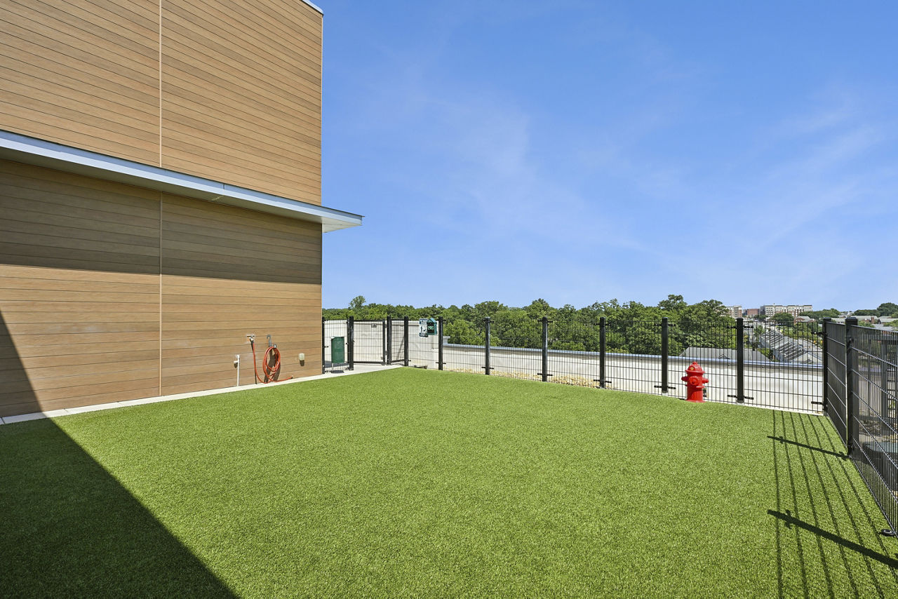 Dog park at Centro Arlington