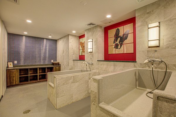 Convenient dog wash station at Centro Arlington Apartments, perfect for pet owners in luxury living settings