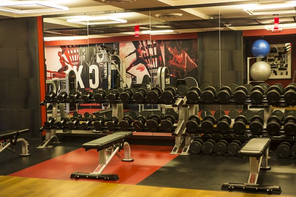 State-of-the-art fitness center with cardio and weight equipment at Notch8 Apartments in urban Los Angeles