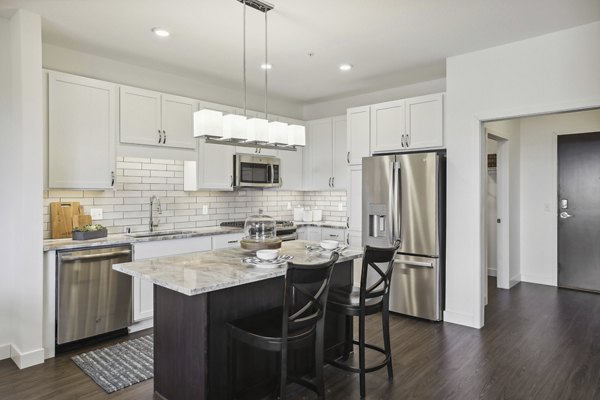 Modern kitchen with sleek cabinetry and stainless steel appliances at Avidor Edina Apartments