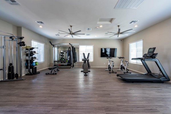 Fitness center with state-of-the-art equipment at Vlux at Sunset Farms Apartments