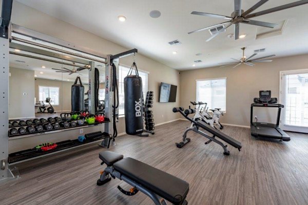 State-of-the-art fitness center at Vlux at Sunset Farms Apartments featuring modern exercise equipment and luxury amenities