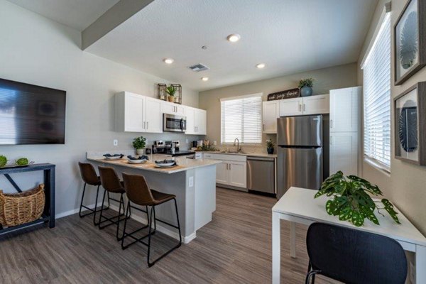 Modern kitchen with sleek appliances at Vlux at Sunset Farms Apartments