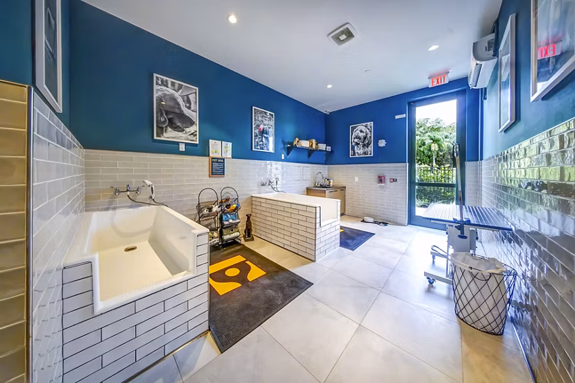 Dog wash station at The Ellsworth Apartments: Convenient amenity for pet owners in luxury community