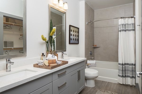 Bathroom featuring elegant fixtures and modern design at Broadstone Bryson Apartments