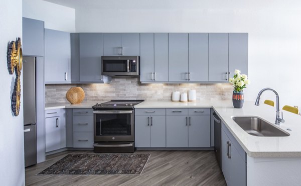 Modern kitchen with gray cabinets and stainless steel appliances in luxury apartments