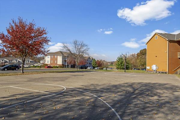 sport court at Wild Oak Apartments