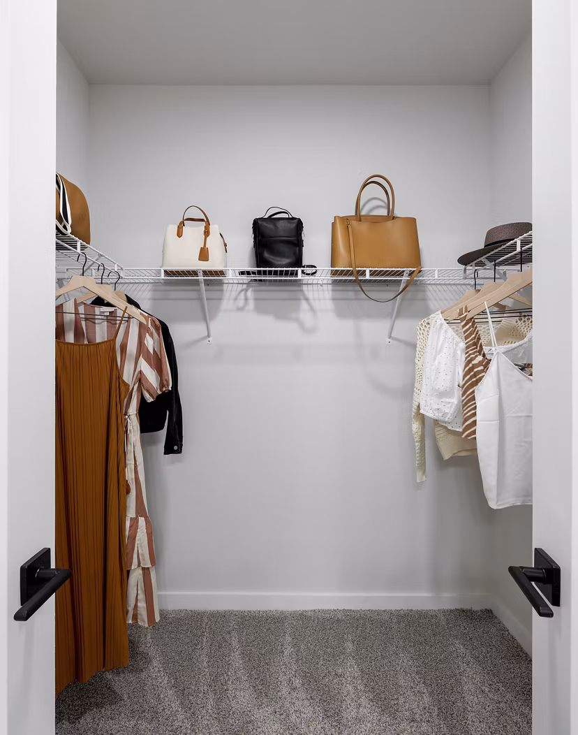 Spacious closet with organized shelving in Maxwell Apartments