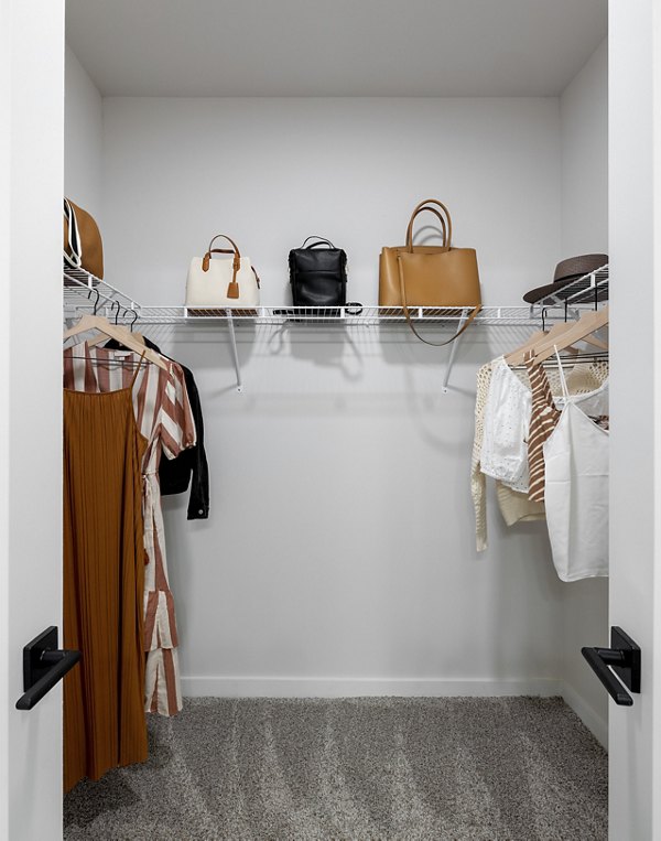 Spacious closet with organized shelving in Maxwell Apartments
