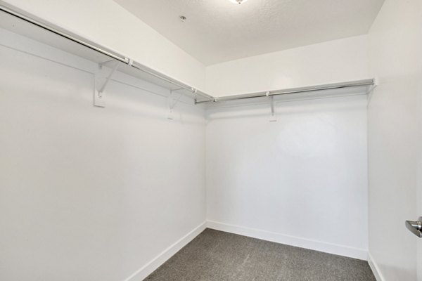 Organized closet with built-in shelves at Millpond Apartments