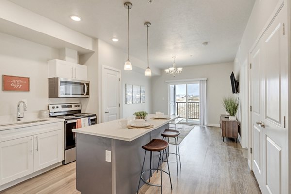Modern kitchen with stainless steel appliances and quartz countertops in Millpond Apartments