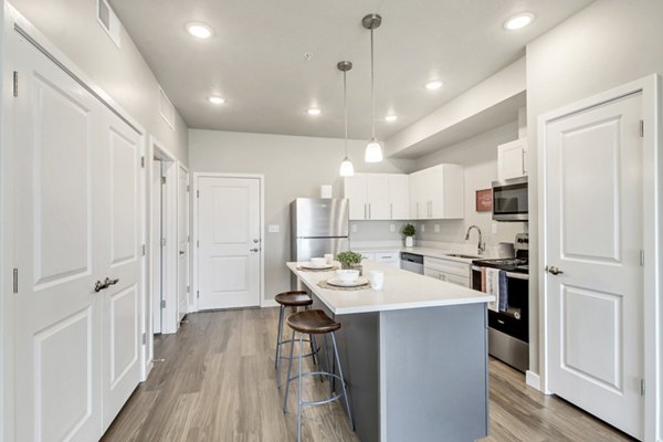 Modern kitchen with stainless steel appliances and sleek cabinetry in Millpond Apartments, luxury residences