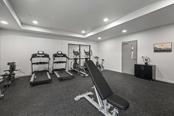 fitness center at The Oliveen Apartments