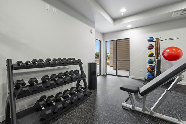 fitness center at The Oliveen Apartments