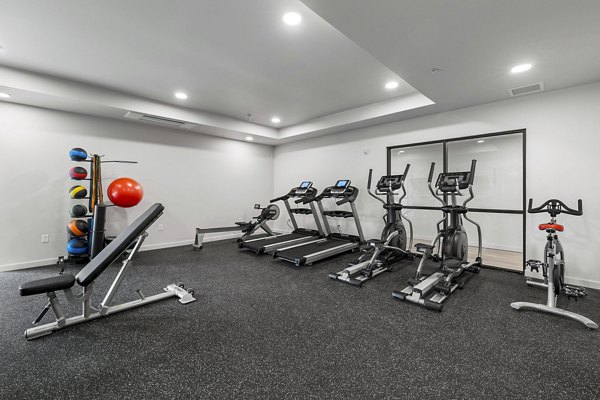 fitness center at The Oliveen Apartments