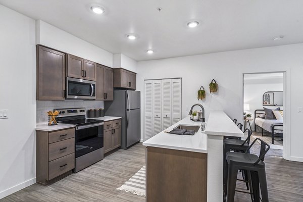 kitchen at The Oliveen Apartments