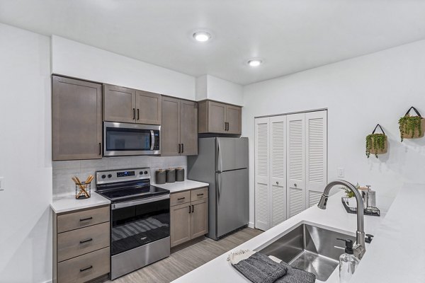 kitchen at The Oliveen Apartments