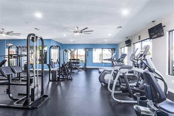 State-of-the-art fitness center with modern equipment at Morada Rise Apartments, offering luxury fitness options to residents