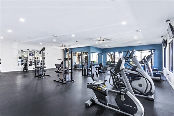 State-of-the-art fitness center with modern equipment at Morada Rise Apartments
