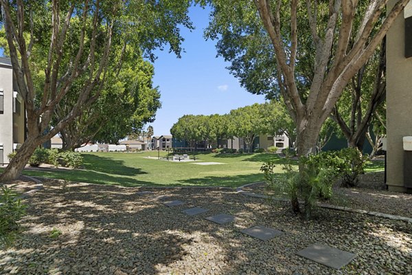 courtyard at Morada Rise Apartments