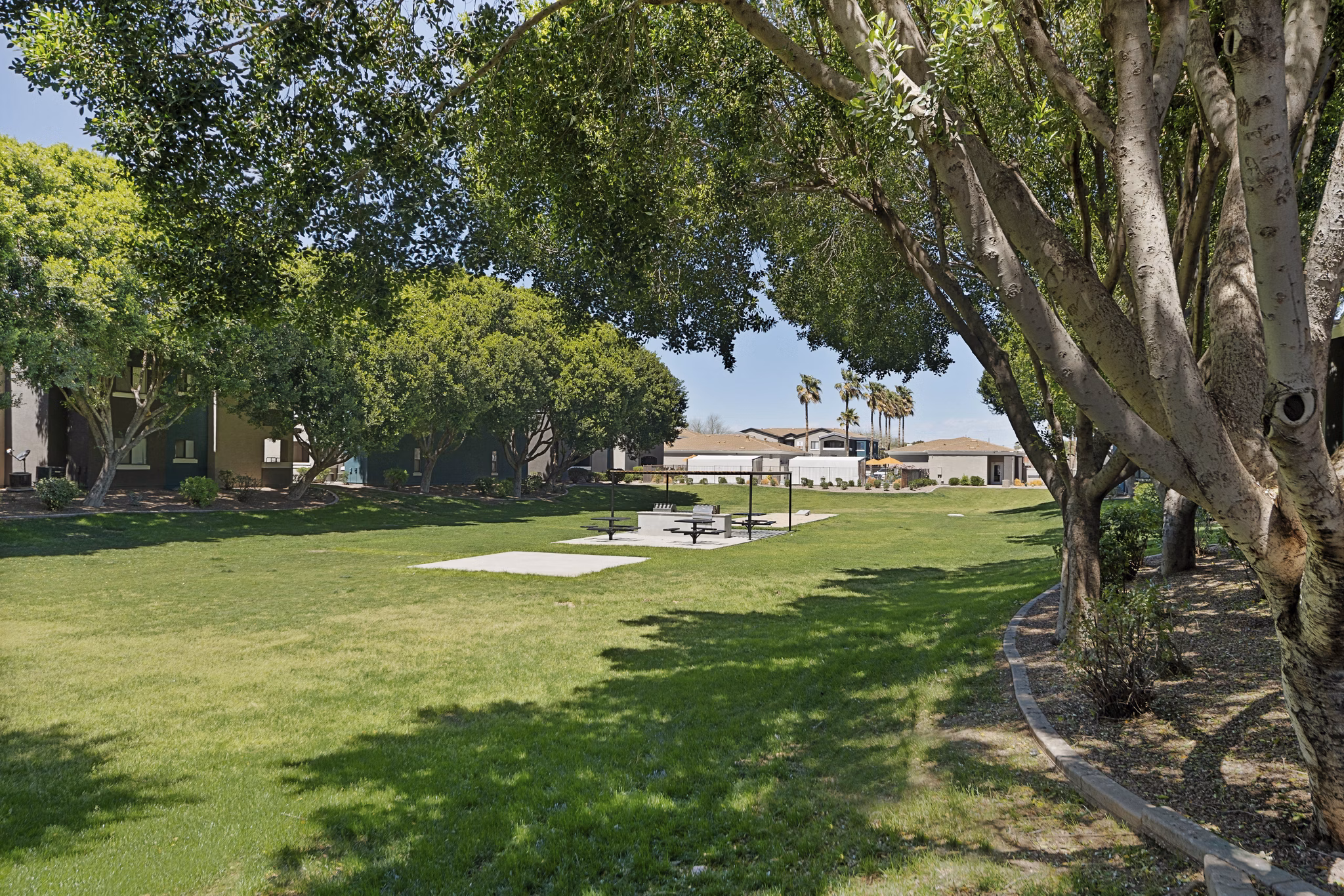Courtyard with lush landscaping at Morada Rise Apartments, a  luxury community