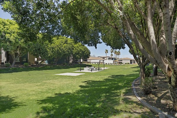 courtyard at Morada Rise Apartments