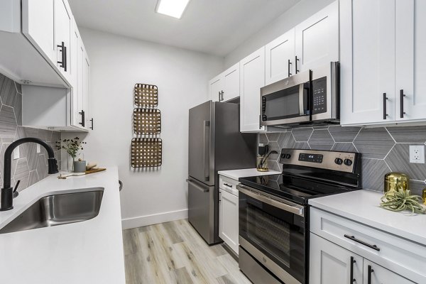 Modern kitchen with stainless steel appliances and granite countertops at The Reserve at Wescott Apartments