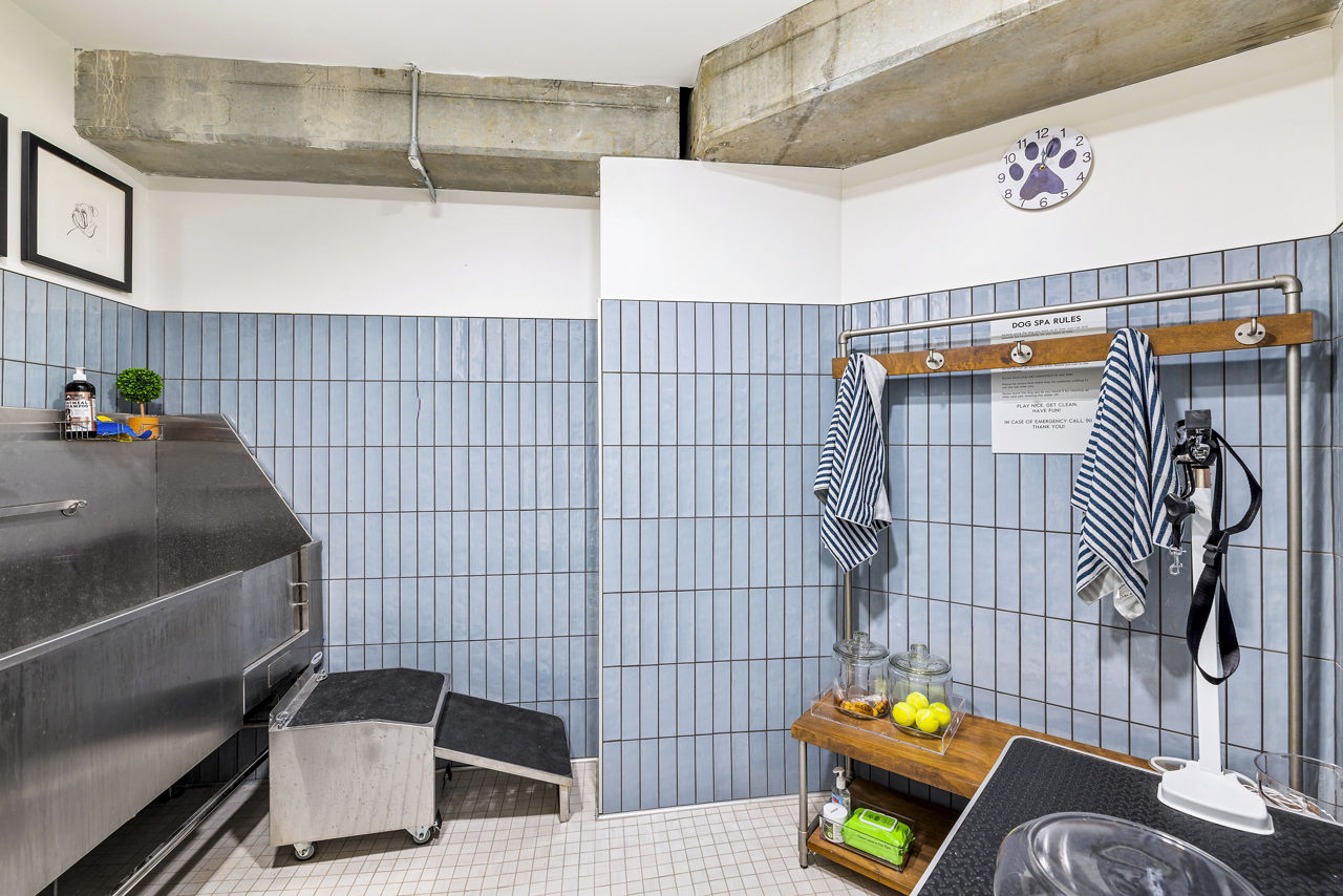 Pet wash at Avidor Omaha