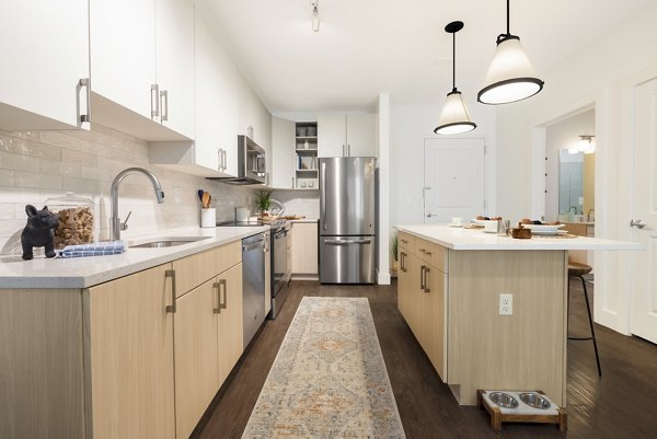 kitchen at The Hannah Apartments 