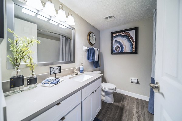 Elegant bathroom featuring marble countertops and contemporary fixtures at Bay Cove Apartments in this luxury living space