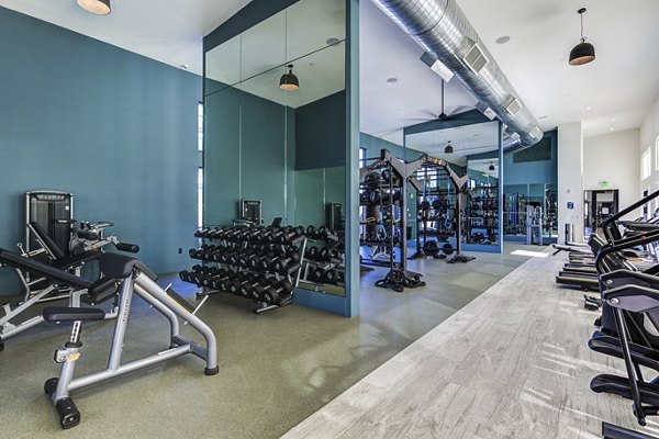 State-of-the-art fitness center with modern equipment at Novel Daybreak Apartments, enhancing luxury living for residents