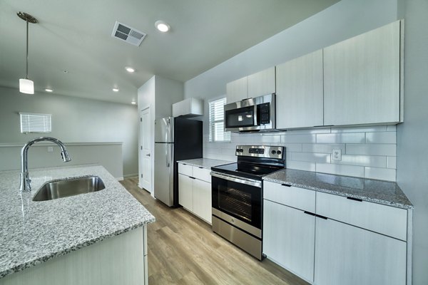 Stylish kitchen with modern appliances at The Riley Apartments, Greystar luxury property