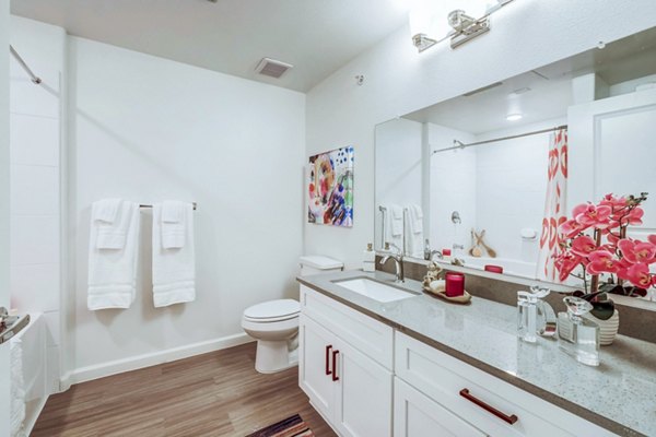 Elegant bathroom featuring granite countertops and modern fixtures at Vineyard Apartments