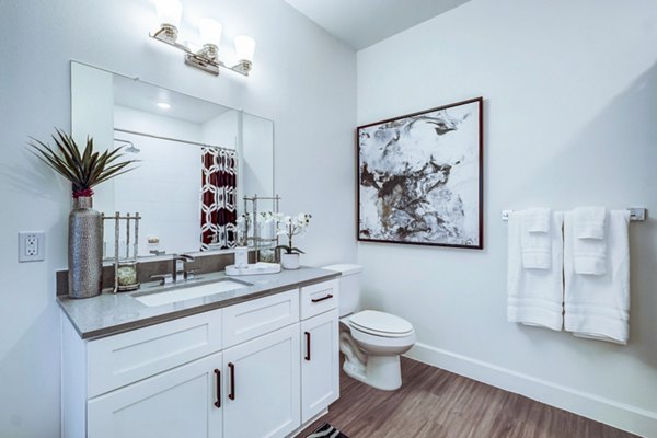 bathroom at Vineyard Apartments