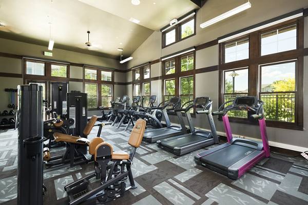 fitness center at The Trails at Timberline Apartments