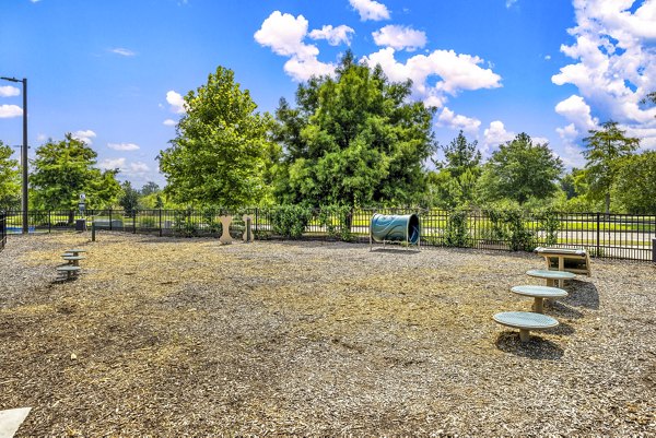 Spacious dog park with agility equipment at The Grove at Coastal Grand Apartments