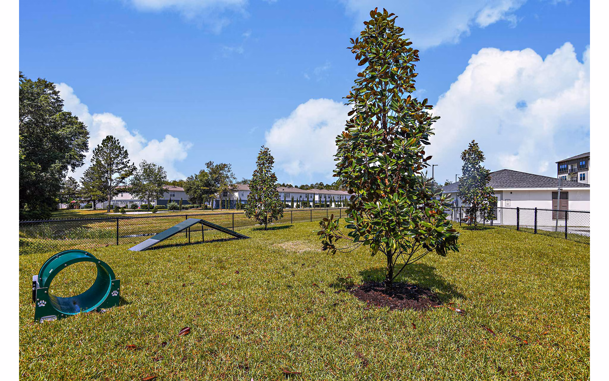 dog park at Palacio Apartments 