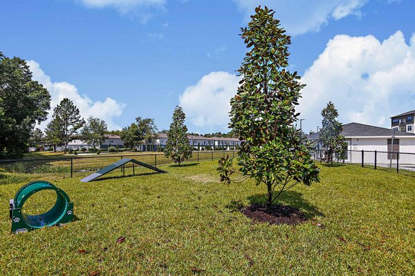 dog park at Palacio Apartments 