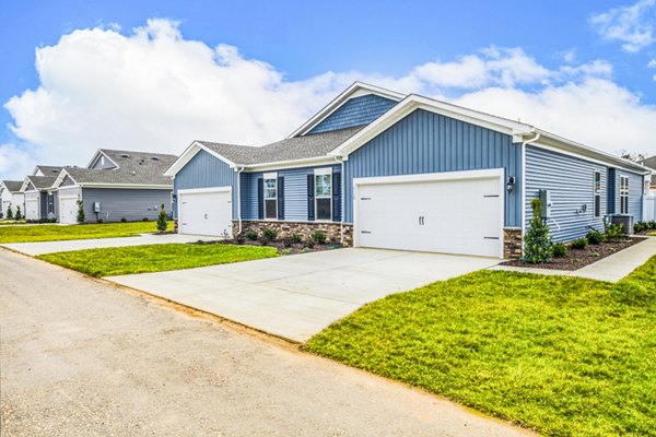 Row of modern single-story houses with blue siding and attached garages in a vibrant community