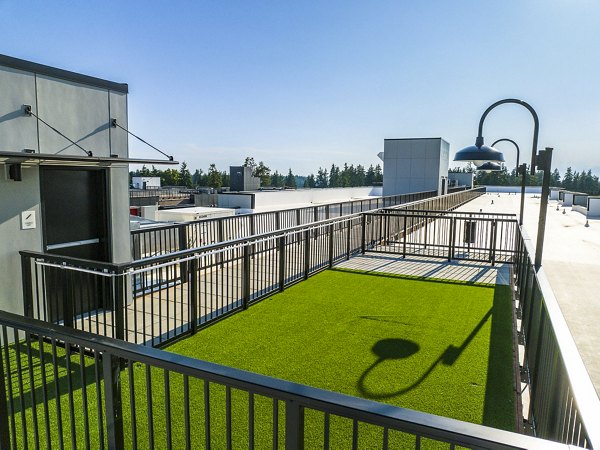 Dog-friendly park at Ion Town Center Apartments with lush greenery and play areas for residents and pets