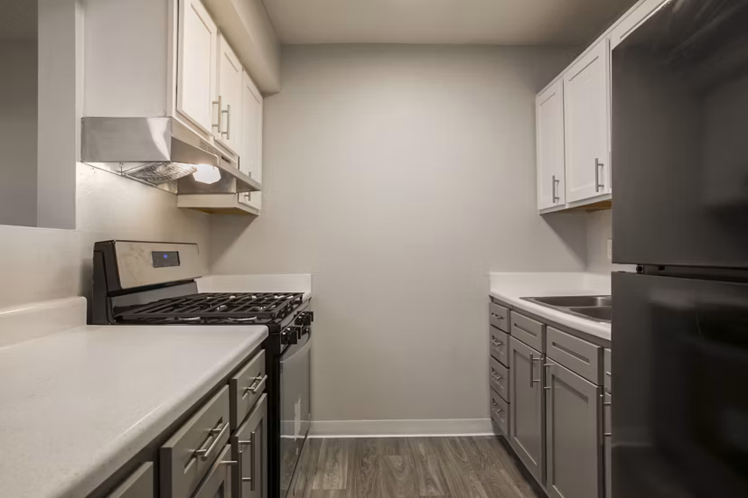 Modern kitchen with stainless steel appliances in Sun Plaza Apartments, a luxury Greystar property