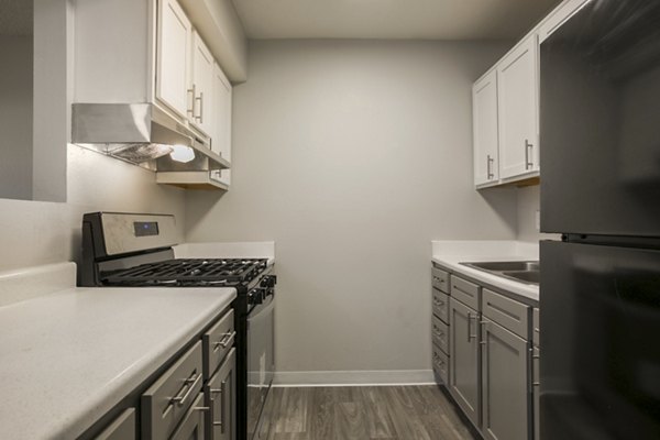 Modern kitchen with stainless steel appliances in Sun Plaza Apartments, a luxury Greystar property