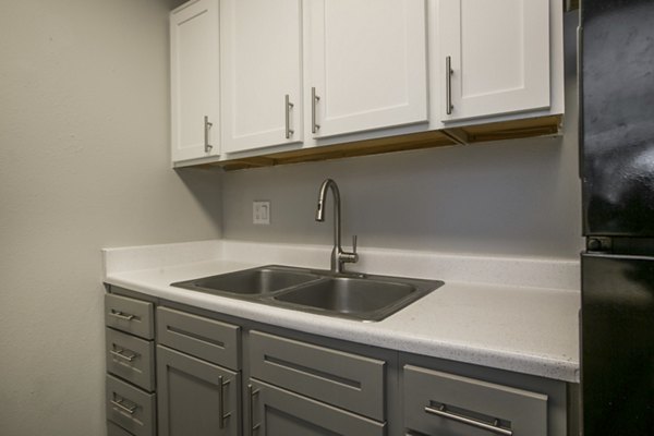 Modern kitchen with stainless steel appliances at Sun Plaza Apartments, Greystar's luxury community