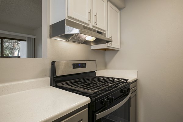 Modern kitchen with stainless steel appliances at Sun Plaza Apartments, Greystar luxury apartments known for elegant and convenient living spaces