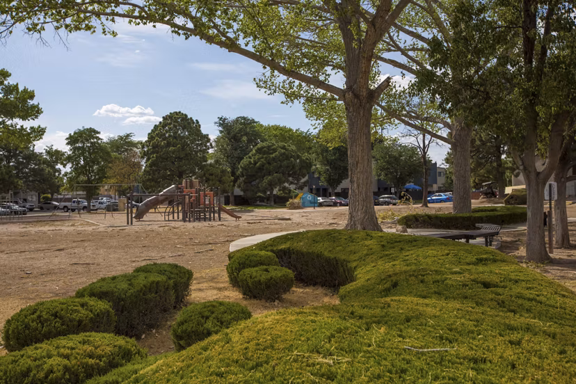 Courtyard with landscaped greenery and seating at Sun Plaza Apartments, a Greystar luxury property specializing in comfortable, modern living spaces