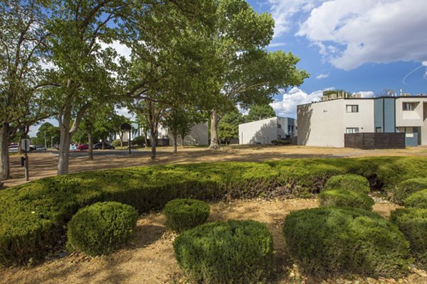 Courtyard with landscaped gardens at Sun Plaza Apartments, a Greystar luxury property