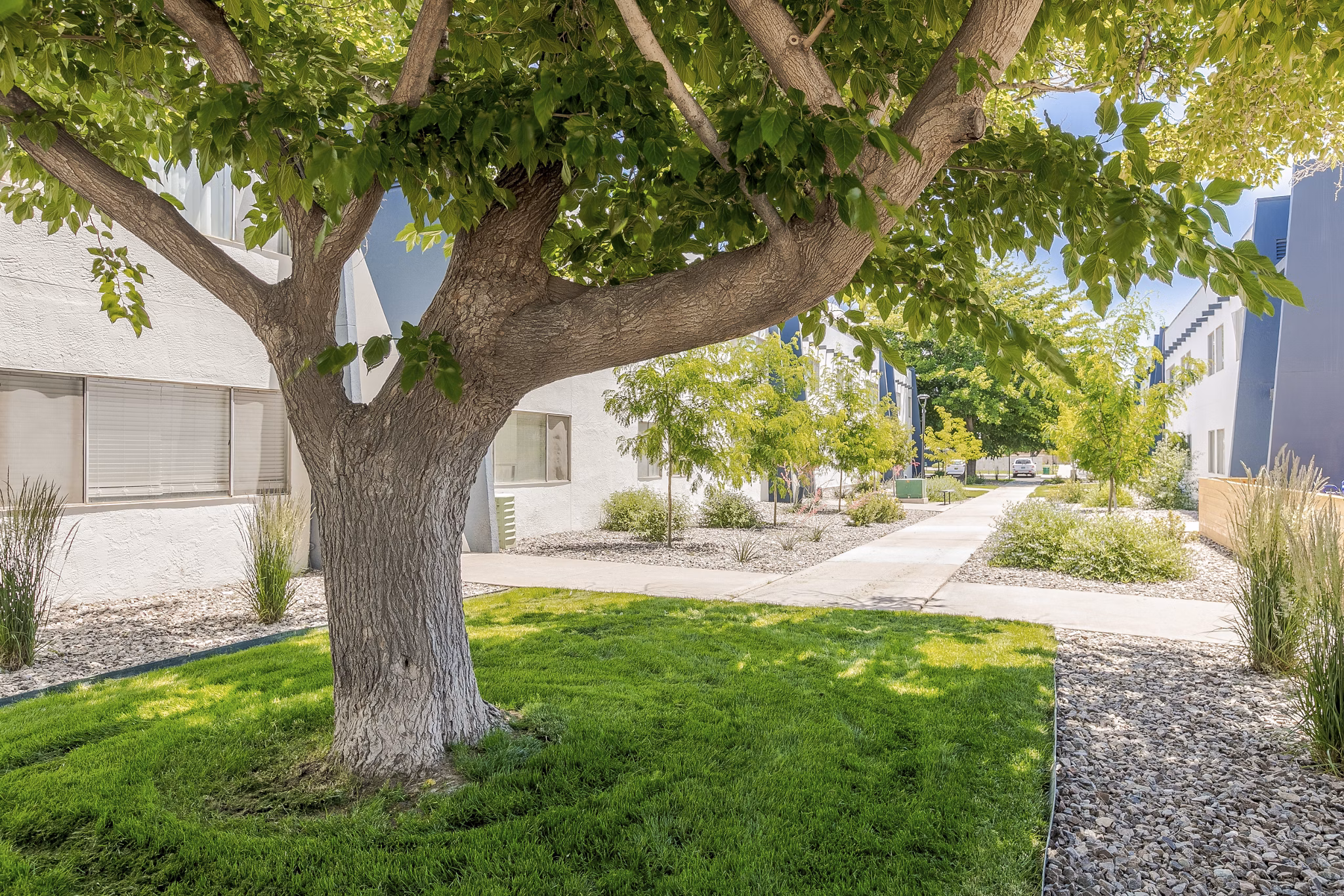 Valley Apartments: Serene courtyard with lush landscaping and outdoor seating for relaxation and socializing